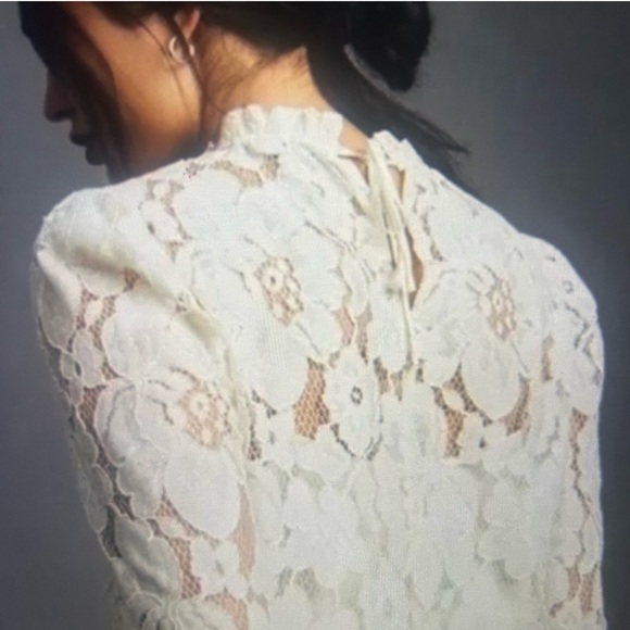 Mare Mare X Anthropologie Cream Sheer Lace Ruffle Neck Blouse Medium EUC! - Picture 2 of 10